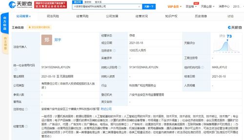 京東云計(jì)算拓展智能城市版圖，新設(shè)科技公司布局動(dòng)漫游戲開發(fā)與系統(tǒng)集成